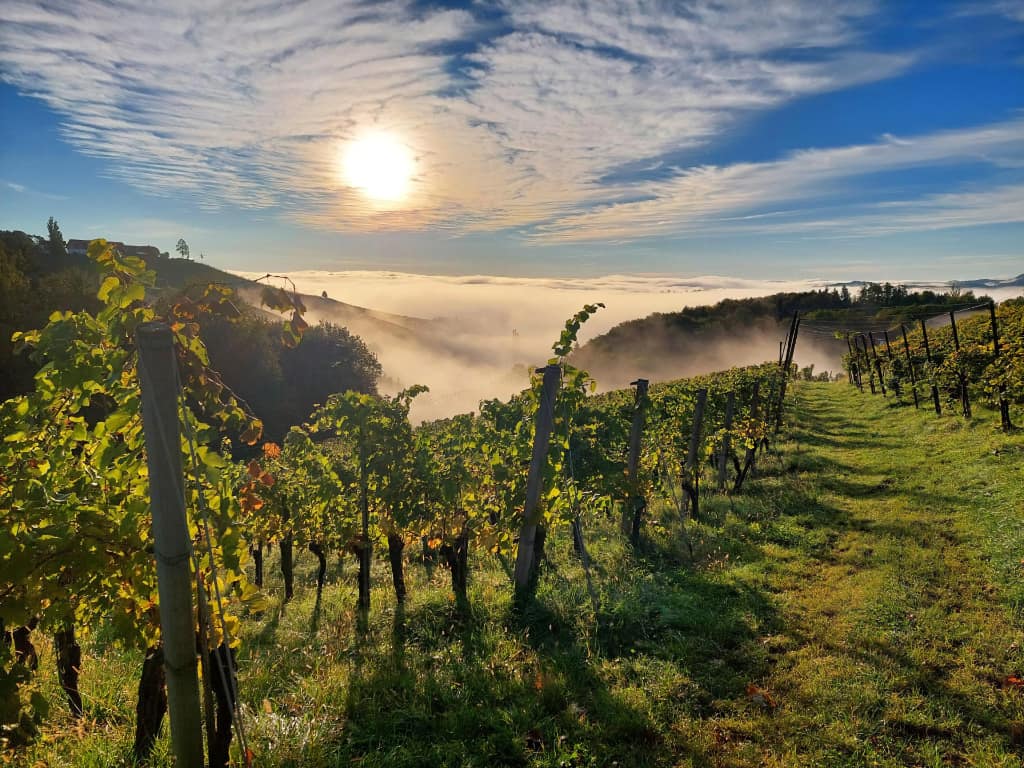 KILGER Neue Jahrgänge